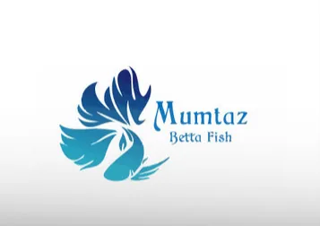 Mumtaz Betta Fish
